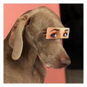 William Wegman Dogs Signed Limited Edition 2000 Investment Museum Quality Station