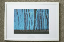 Blue Forest Reflections