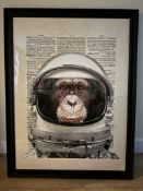 Matt Dinniman/Space Chimp