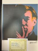 Andy Warhol, Original, Lithograph, Limited Edition, Plate Signed, Framed