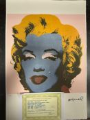 Andy Warhol, Original, Lithograph, Limited Edition, Plate Signed, Framed