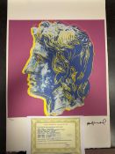 Andy Warhol, Original, Lithograph, Limited Edition, Plate Signed, Framed