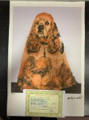 Andy Warhol, Original, Lithograph, Limited Edition, Plate Signed, Framed