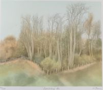 Jo Barry Sparking Air, Signed Limited Edition Etching