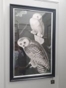 India Jane Snowy Owl Print