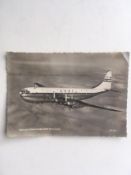 Aviation Circa 1950s-BOAC Stratocruiser, Postcard With Riven Edges