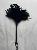 11x Fetish Frisky Feather Duster