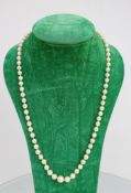 Pearl Necklace 9ct Gold Clasp