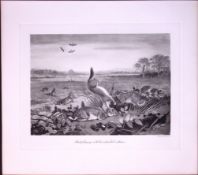 Stoat & Its Intended Victims Rare 121 Years-Old Limited-Edition Antique Print