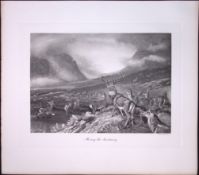 The Stag Sanctuary Rare 121 Years-Old Limited-Edition Antique JG Millais Print.