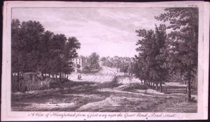 Hampstead Heath London Rare 1776 Georgian Copper Antique Engraving-42