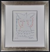 Picasso 