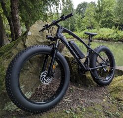 Liquidation of E-bikes