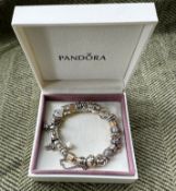 Vintage Pandora Charm Bracelet (Pre 2011 - Rare Retired Charms)