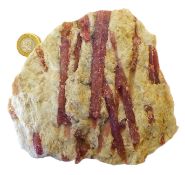 A Mineralogical Specimen With Large Natural Rubelite Crystals In Matrix