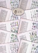 10 British Wild-Flowers John Sowerby Antique Engraved Prints with Hand Colouring-4.