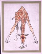 Cecil Aldin Antique Zoo Babies Scarce Illustration “Young Giraffe”-21