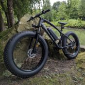 Black Widow E-Bike