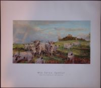 Wild Cattle Chartley Herd Rare 121 Years-Old Limited-Edition Antique JG Millais Print.