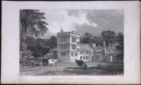 Cornwall Calstock Cotele House Antique 193 Years-Old Steel-Engraving-28