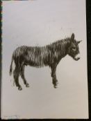 Charming Baker Signed Limited Edition Donkey (300+20 Spares) 70 x 50 cm Free Post Worldwide