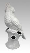 Large Ceramic Parrot