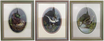 Set of 3 British Bird Paintings By Liz Garnett-Orme
