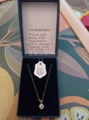 9 Carat Gold Chain and Aquamarine Pendant