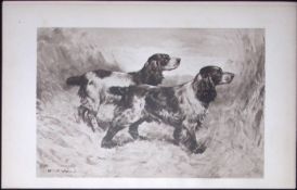 Cocker Spaniels Antique Book Plate Rawdon Lee Modern Dogs 1906-49