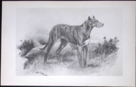 Great Dane Antique Book Plate Rawdon Lee Modern Dogs 1893-33