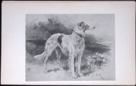 Borzoi Antique Book Plate Rawdon Lee Modern Dogs 1893-34