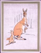 Cecil Aldin Antique Zoo Babies Scarce Illustration “Young Kangaroo”-7