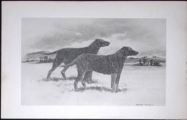 Retrievers Curly-Coated Antique Book Plate Rawdon Lee Modern Dogs 1893-39