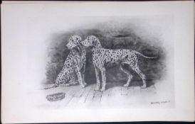 Dalmatians Antique Book Plate Rawdon Lee Modern Dogs 1894-11