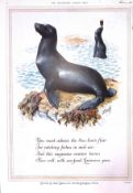 Guinness 1952 Original 73 Years-Old Print The Seal Lions -G.E. 1828.B