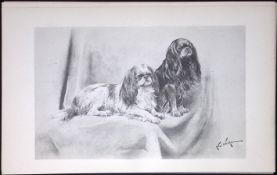 King Charles & Blenheim Spaniels Antique Book Plate Rawdon Lee Modern Dogs 1894-15