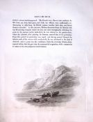 Isle of Wight Ventnor J.M.W Turner Views from a Southern Coast Rare Engraving-64