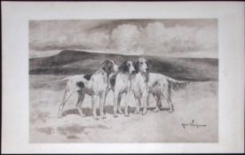 Pointers & Setters Antique Book Plate Rawdon Lee Modern Dogs 1906-55
