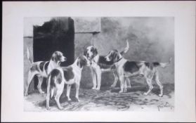 Harriers Antique Book Plate Rawdon Lee Modern Dogs 1893-25