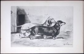 Dachshunds Antique Book Plate Rawdon Lee Modern Dogs 1893-47