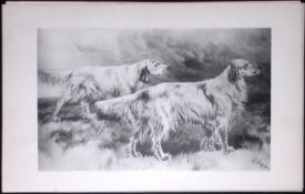 English Setters Antique Book Plate Rawdon Lee Modern Dogs 1893-36