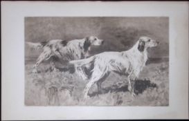 Pair of English Setters Antique Book Plate Rawdon Lee Modern Dogs 1906-57