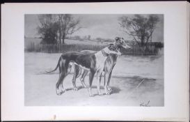 Whippets Antique Book Plate Rawdon Lee Modern Dogs 1893-31