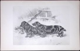 Black Field Spaniels Antique Book Plate Rawdon Lee Modern Dogs 1893-44
