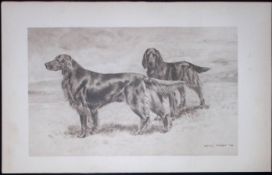 Pair of Irish Red Setters Antique Book Plate Rawdon Lee Modern Dogs 1906-58