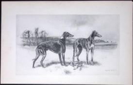 Greyhounds Antique Book Plate Rawdon Lee Modern Dogs 1893-30