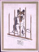 Cecil Aldin Antique Zoo Babies Scarce Illustration “Esquimaux Puppy”-19