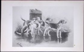 Foxhounds Antique Book Plate Rawdon Lee Modern Dogs 1893-24