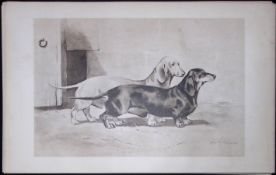 Pair Dachshunds Antique Book Plate Rawdon Lee Modern Dogs 1906-66