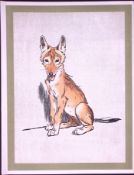 Cecil Aldin Antique Zoo Babies Scarce Coloured Illustration “The Jackal”-5